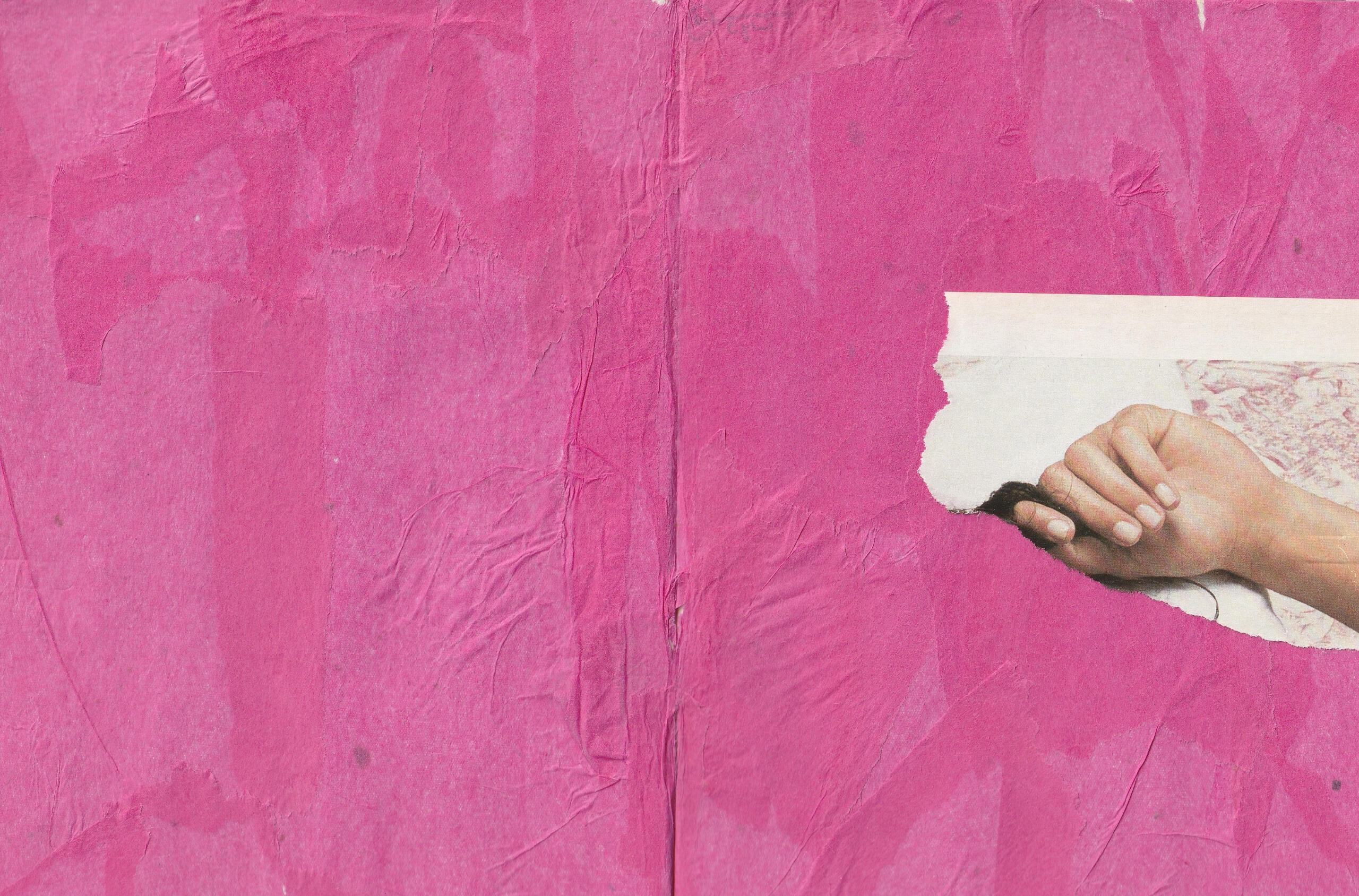 2/14 a walk along the river